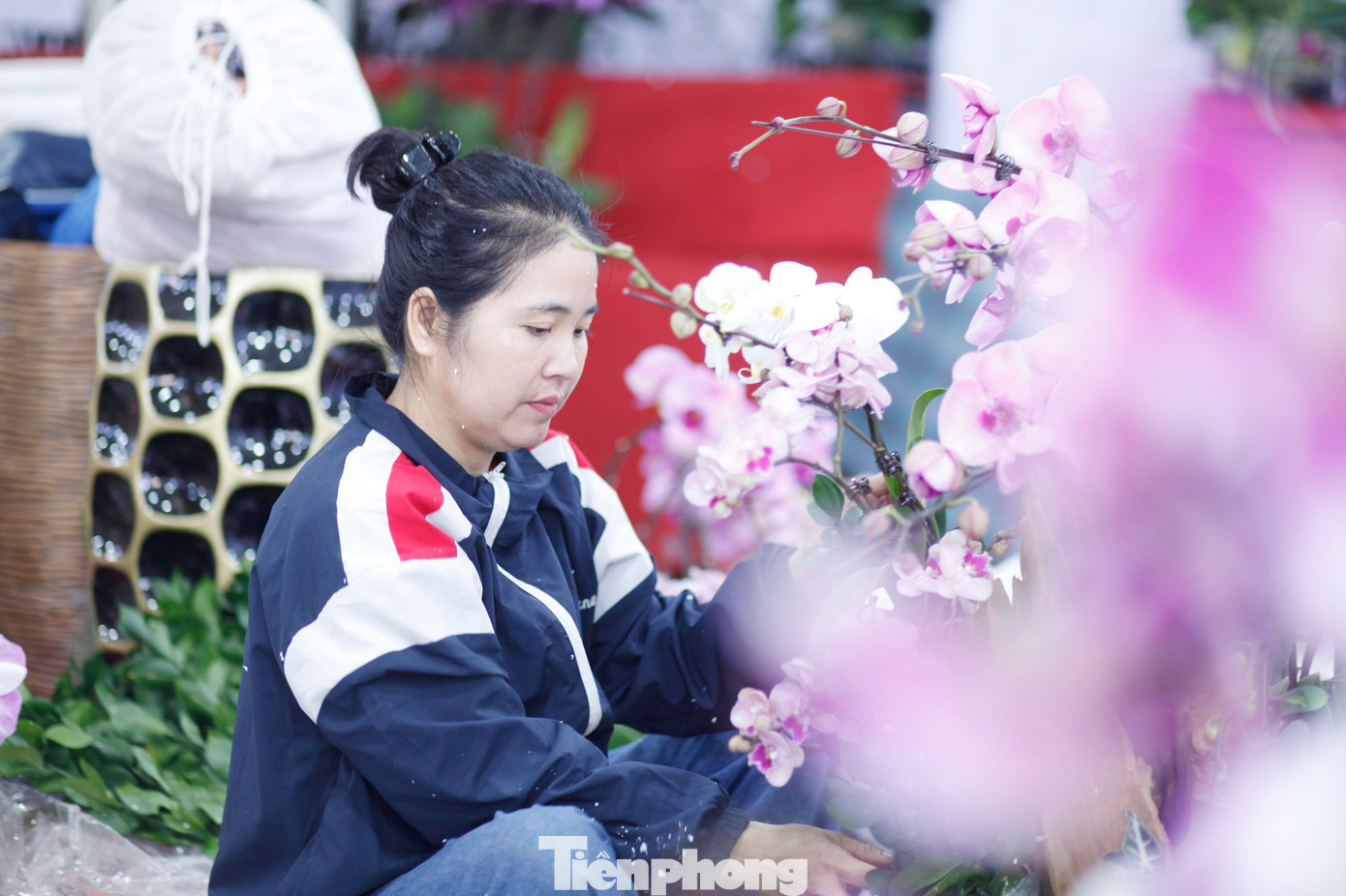'Hái ra tiền' nghề cắm hoa Tết, cao điểm thu 4-5 triệu đồng/ngày - Ảnh 1