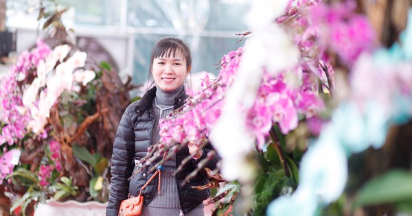 Bỏ hàng tỷ đồng buôn hoa Tết rồi ngóng khách... mất ăn, mất ngủ