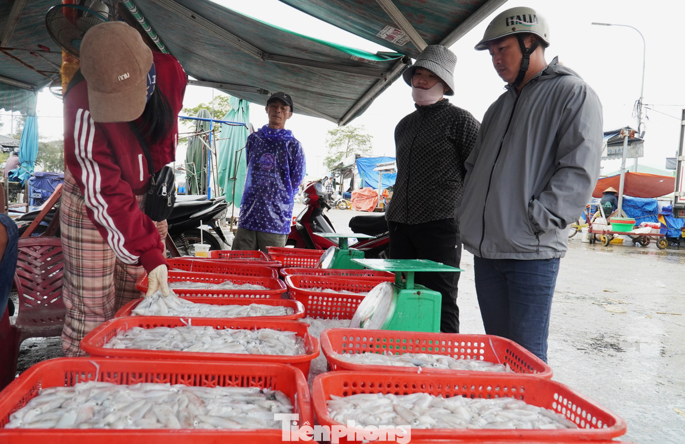 Ngư dân miền Trung trúng 'lộc' mực nháy dịp áp Tết - Ảnh 9