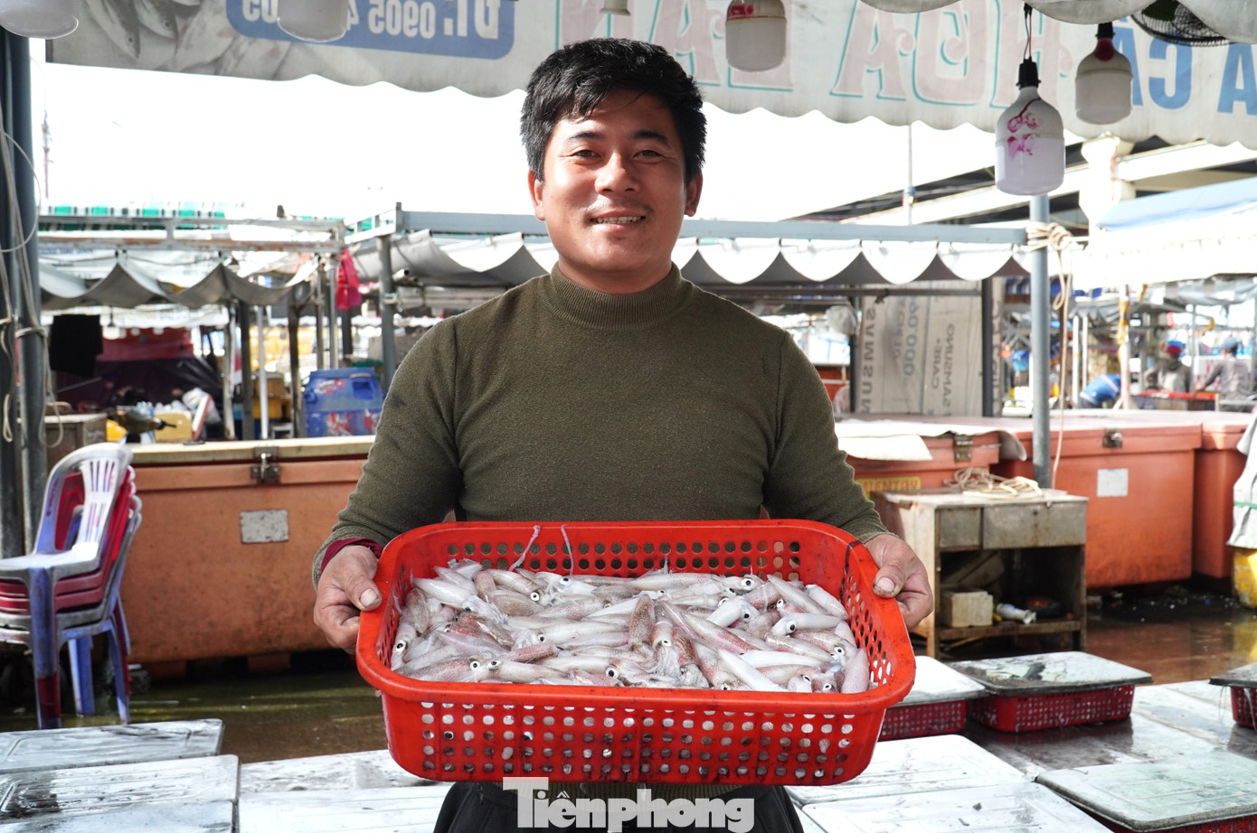 Ngư dân miền Trung trúng 'lộc' mực nháy dịp áp Tết - Ảnh 2