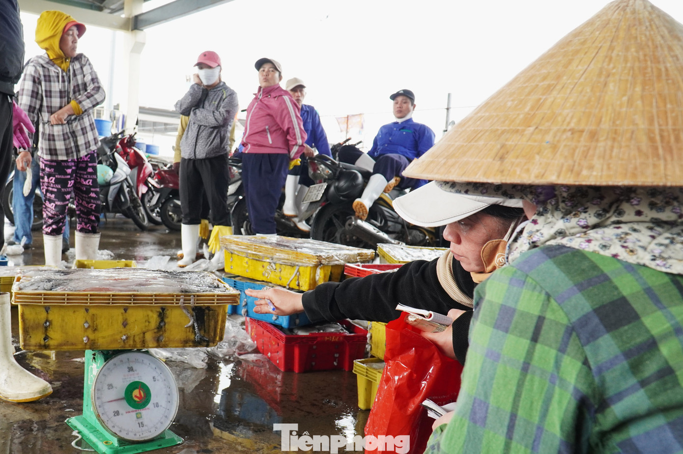 Ngư dân miền Trung trúng 'lộc' mực nháy dịp áp Tết - Ảnh 8