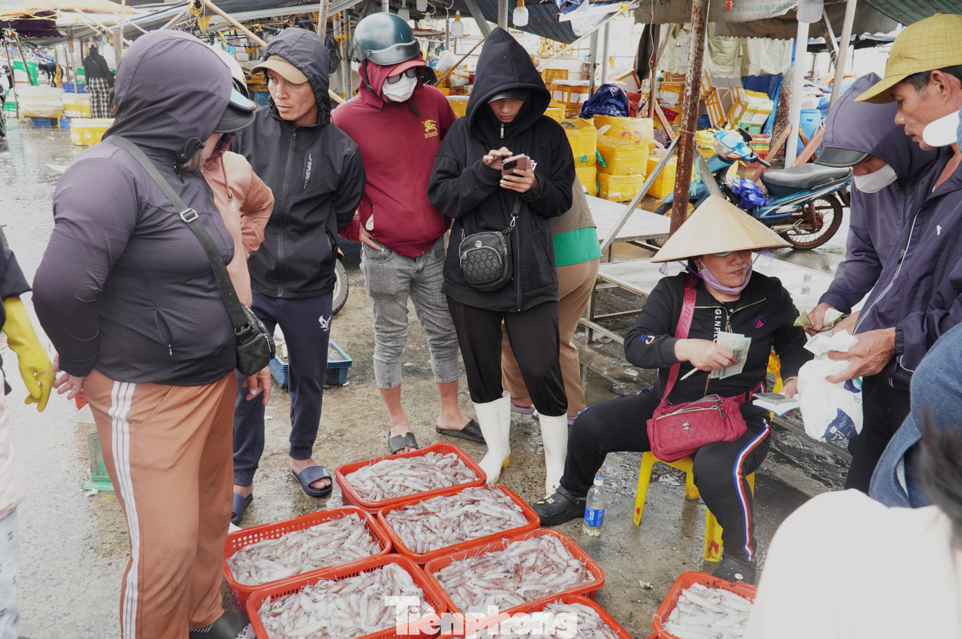 Ngư dân miền Trung trúng 'lộc' mực nháy dịp áp Tết - Ảnh 4
