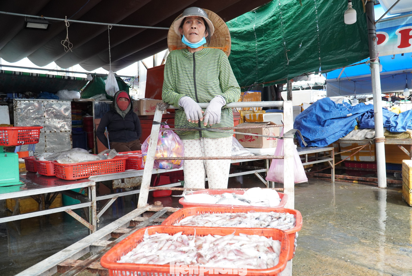 Ngư dân miền Trung trúng 'lộc' mực nháy dịp áp Tết - Ảnh 20