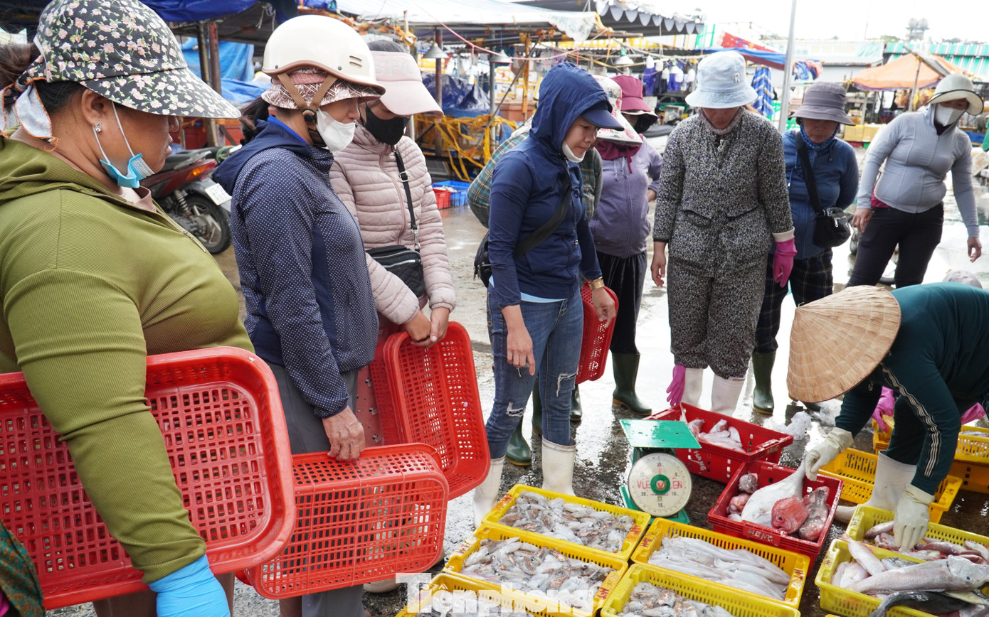 Ngư dân miền Trung trúng 'lộc' mực nháy dịp áp Tết - Ảnh 11