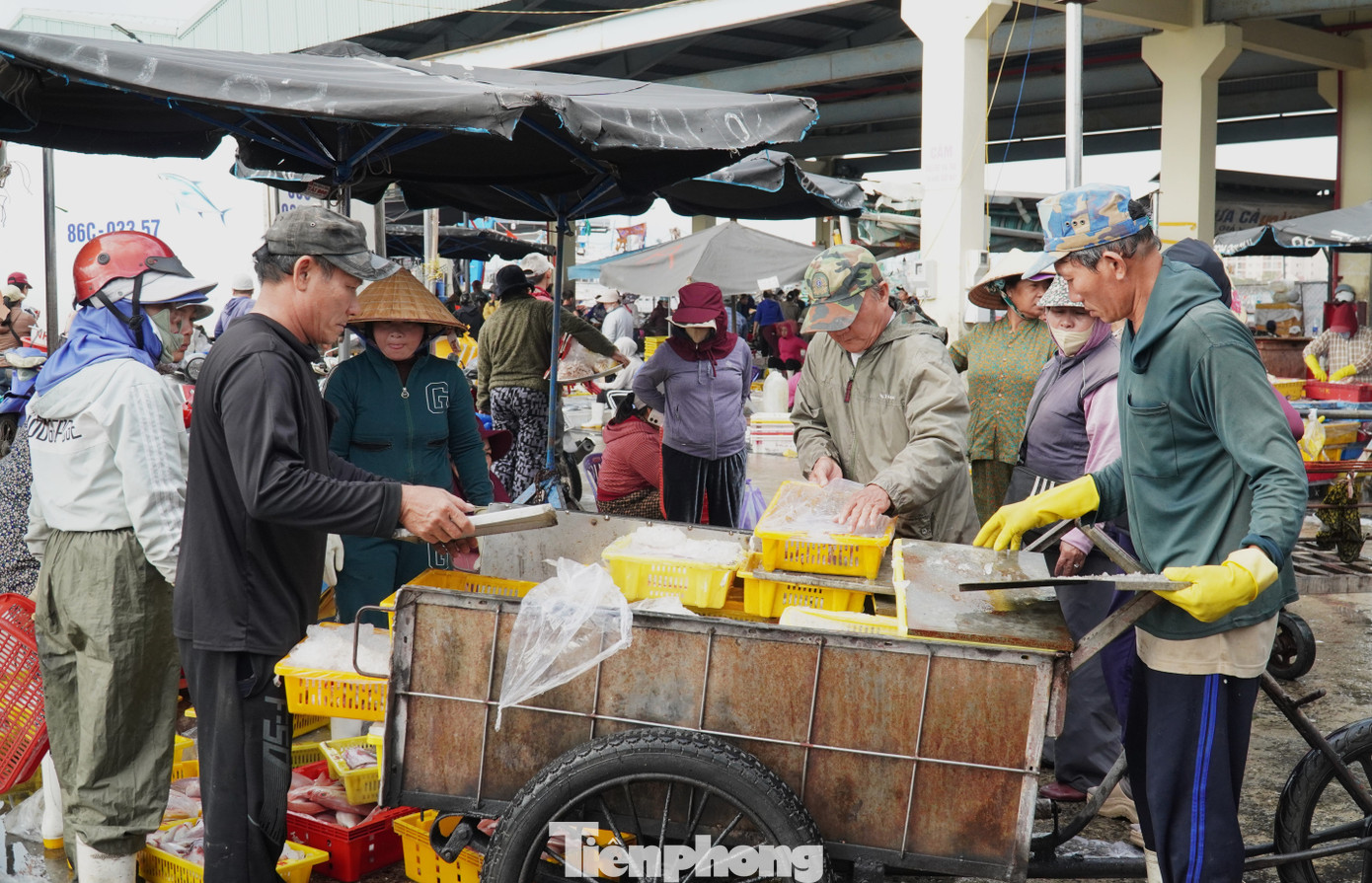 Ngư dân miền Trung trúng 'lộc' mực nháy dịp áp Tết - Ảnh 18