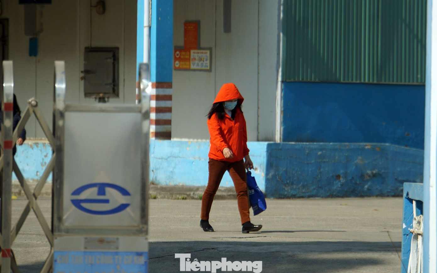 Vụ patê 'dính' thịt bệnh: Tình trạng nhà máy Đồ hộp Hạ Long hiện nay - Ảnh 2