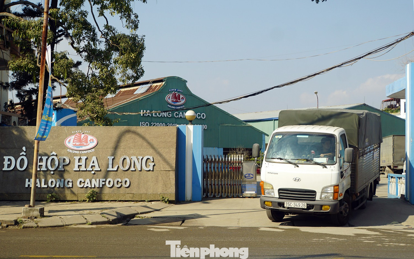 Vụ patê 'dính' thịt bệnh: Tình trạng nhà máy Đồ hộp Hạ Long hiện nay - Ảnh 1