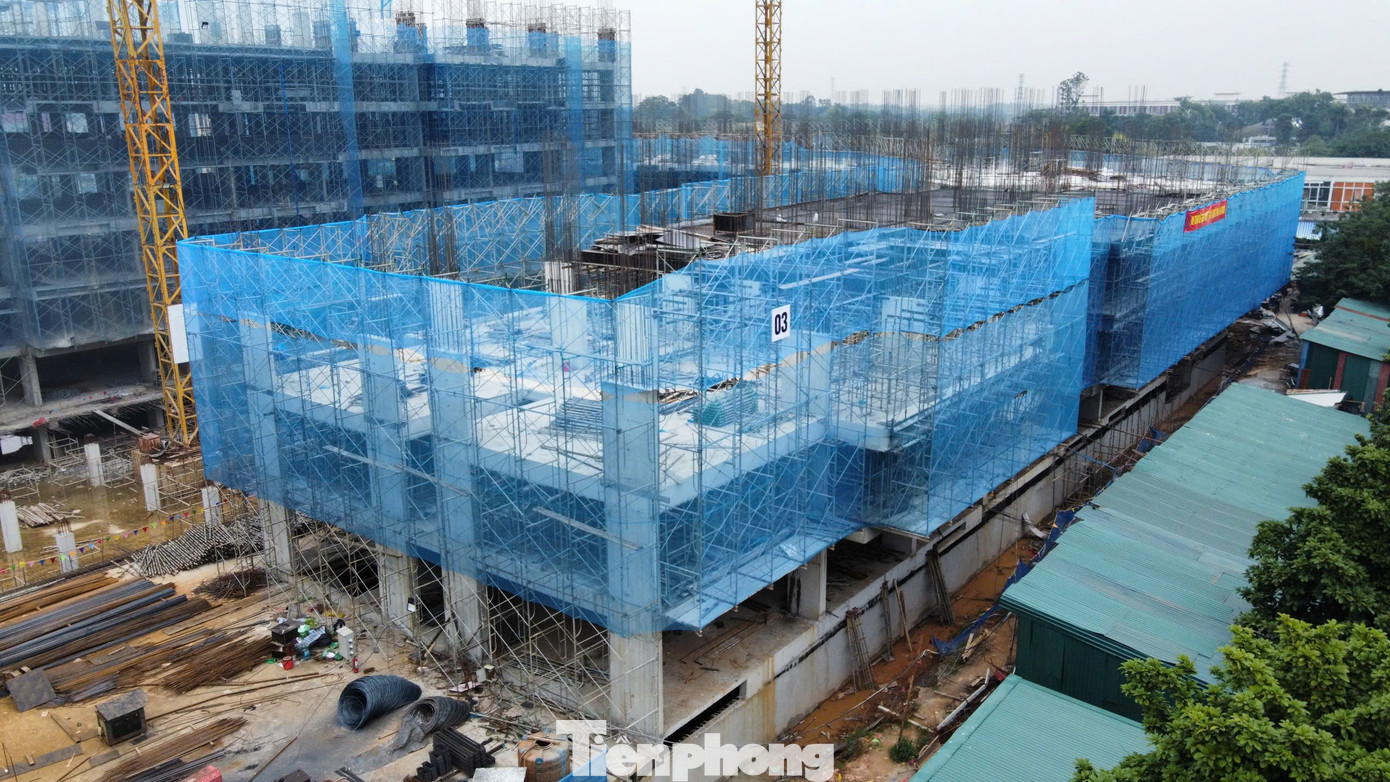 Hướng dẫn mới nhất xác nhận thu nhập mua nhà ở xã hội cho lao động tự do - Ảnh 1