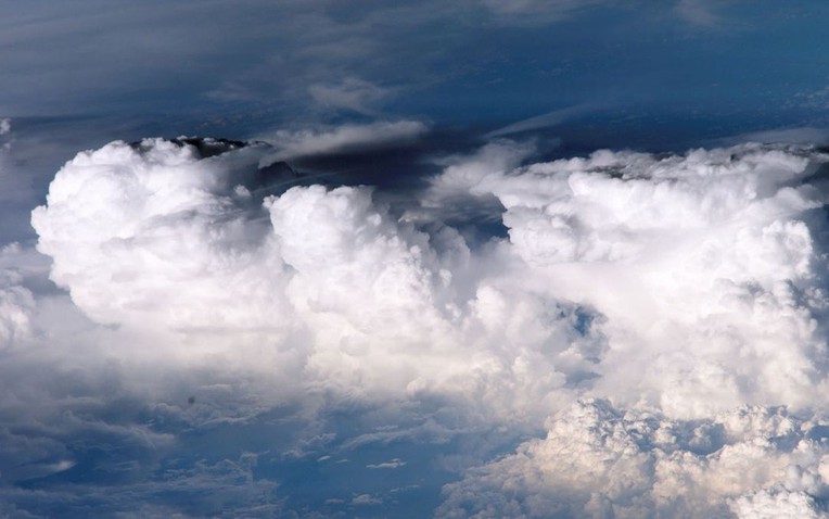 "Không ai biết vì sao điều này lại xảy ra": Các nhà khoa học toàn cầu chạy đua để giải mã 1 hiện tượng lạ - Ảnh 1