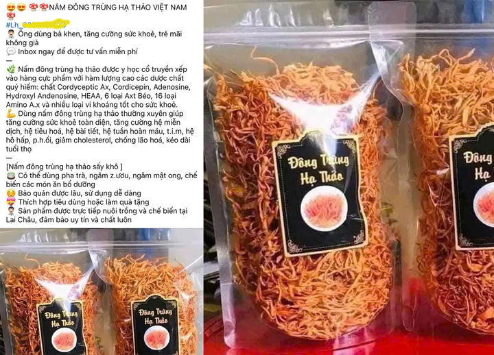 Đông trùng hạ thảo 350.000 đồng/kg: Giá rẻ bất thường, chất lượng khó kiểm soát - Ảnh 1