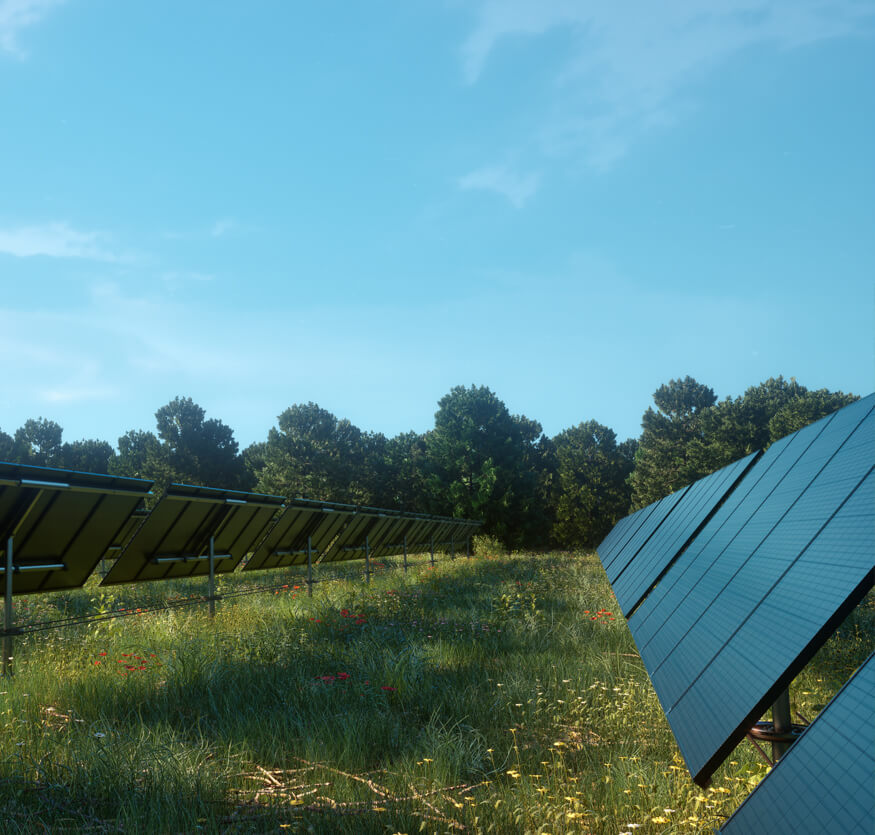 Phát minh VajaTrack của Thụy Điển đang dậy sóng ngành pin mặt trời nằm ngang toàn cầu - Ảnh 2