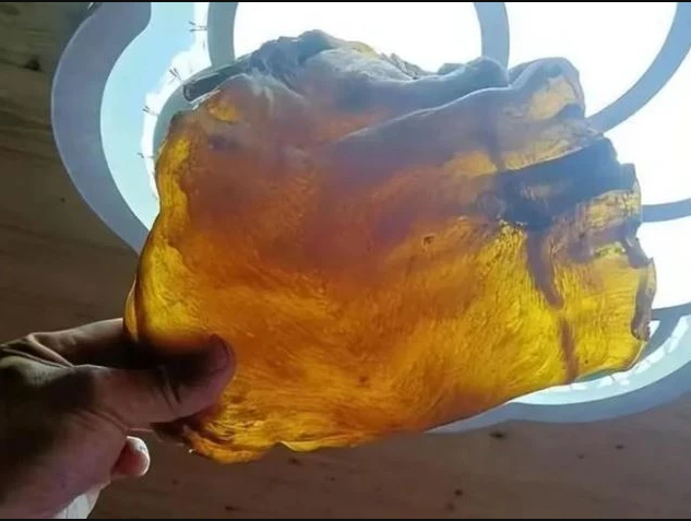 Mở thùng gạo phủ bụi, người đàn ông phát hiện vật thể khô bị lãng quên 50 năm, giá trị ngang căn biệt thự - Ảnh 1