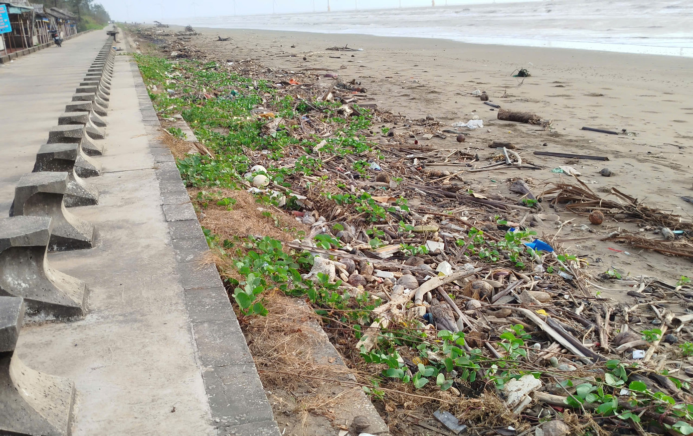 Nhếch nhác khu du lịch Ba Động nổi tiếng - Ảnh 1