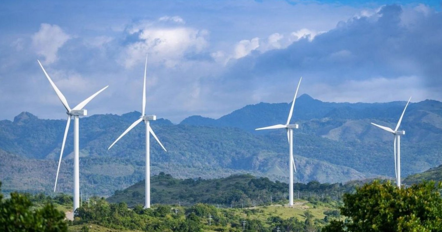 Xử phạt loạt doanh nghiệp liên quan đến WTO - Ảnh 1