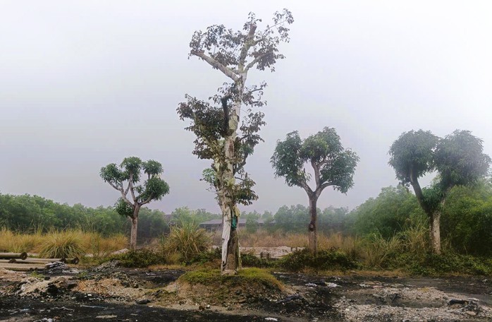 Dự án 250 tỉ đồng "chết yểu" ngay đường lên huyệt đạo thiêng - Ảnh 4
