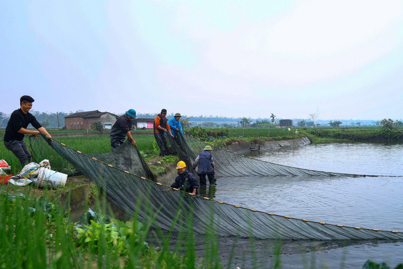 Nhộn nhịp thủ phủ cá chép đỏ cúng Tết ông Công, ông Táo - Ảnh 3