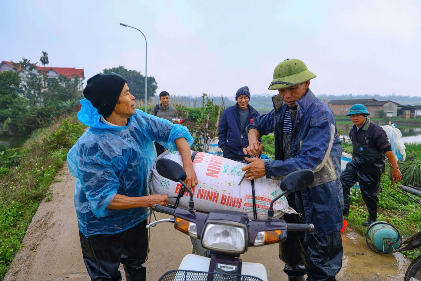 Nhộn nhịp thủ phủ cá chép đỏ cúng Tết ông Công, ông Táo - Ảnh 4