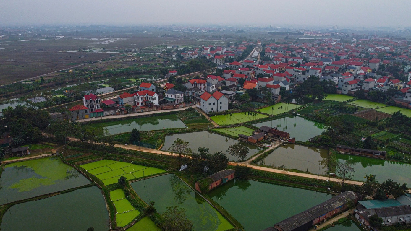 Nhộn nhịp thủ phủ cá chép đỏ cúng Tết ông Công, ông Táo - Ảnh 1