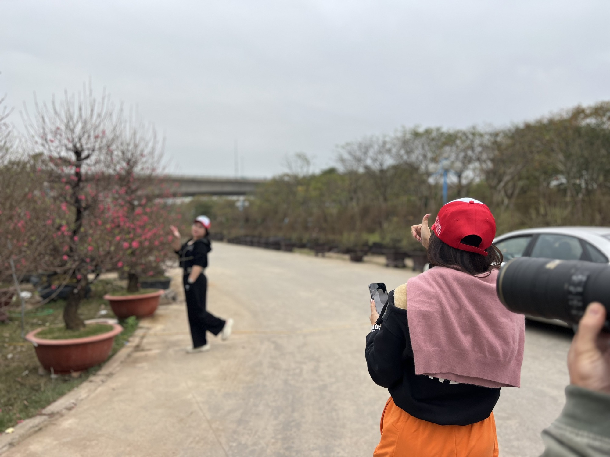 Dàn "lão đào" Tây Bắc xuống phố Thủ đô, giá thuê hàng chục triệu đồng mỗi gốc - Ảnh 9