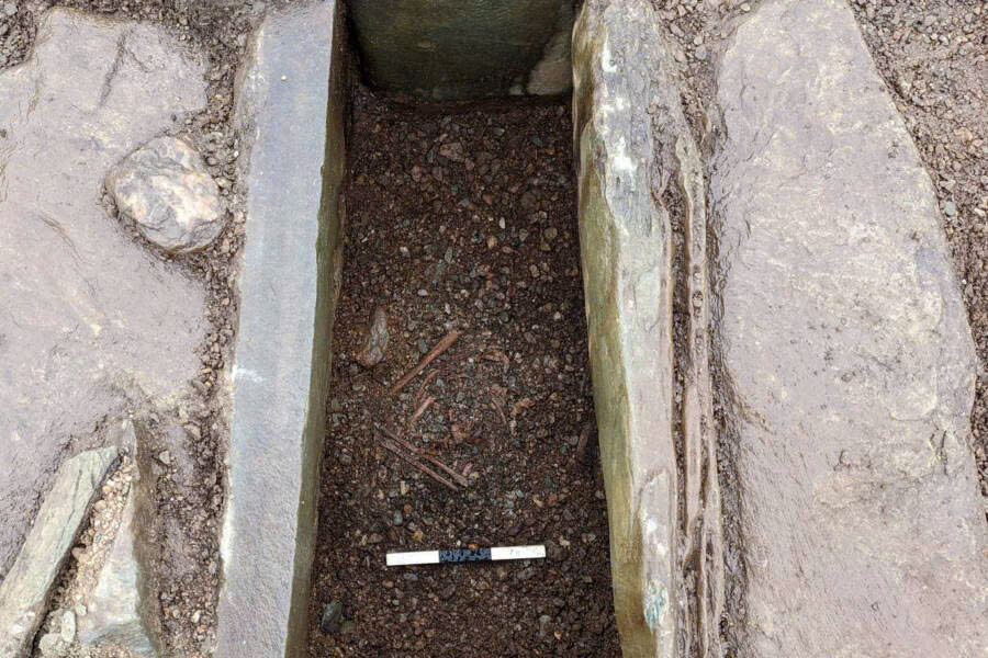 Đang cày ruộng thì phát hiện thứ lạ có niên đại 4.000 năm, người nông dân không tin vào mắt mình - Ảnh 2