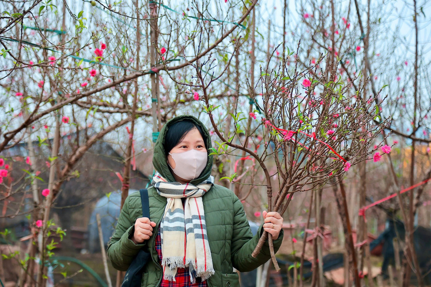 Người Hà Nội nhộn nhịp đi mua đào chơi Tết sớm - Ảnh 3