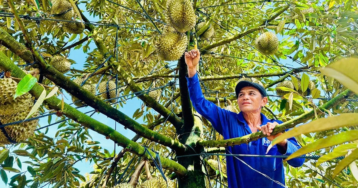 Xuất khẩu chinh phục mục tiêu 500 tỉ USD