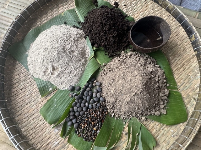 Cận cảnh máy bay không người lái thả hạt giống trồng rừng - Ảnh 4