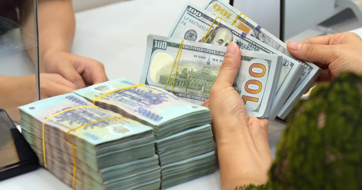 Kiều hối về TP.HCM đạt 10,24 tỉ USD, Châu Á chiếm tỉ trọng lớn