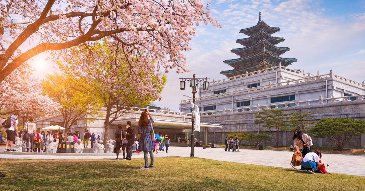 Tín đồ du lịch Hàn Quốc bắt trend ‘mua trả góp’ ngay tại xứ sở Kim Chi