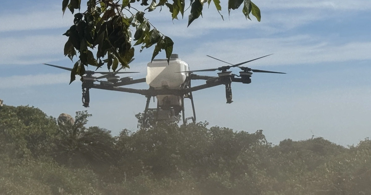 Cận cảnh máy bay không người lái thả hạt giống trồng rừng