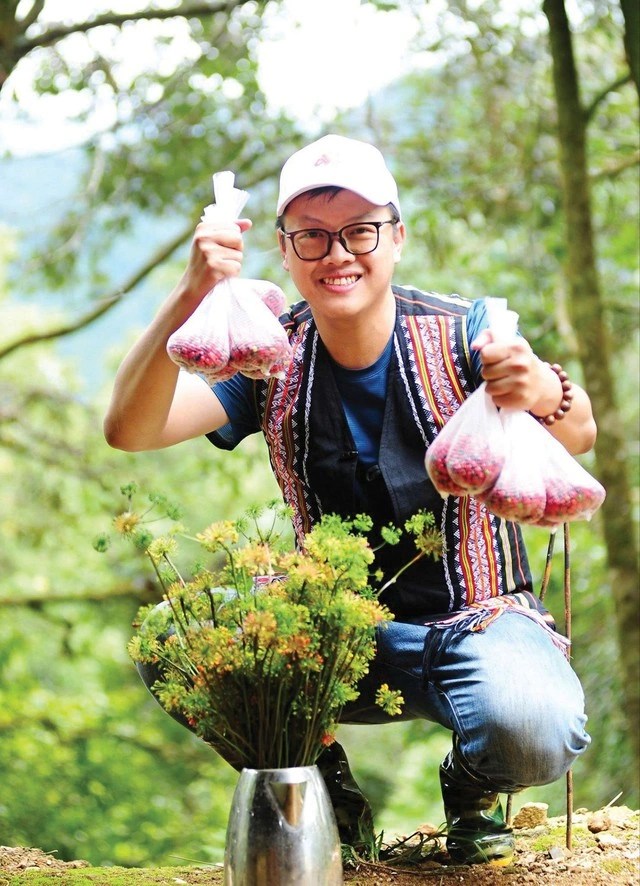 Sâm Ngọc Linh: Khi tinh hoa dược liệu Việt đồng hành cùng nhịp sống hiện đại - Ảnh 2