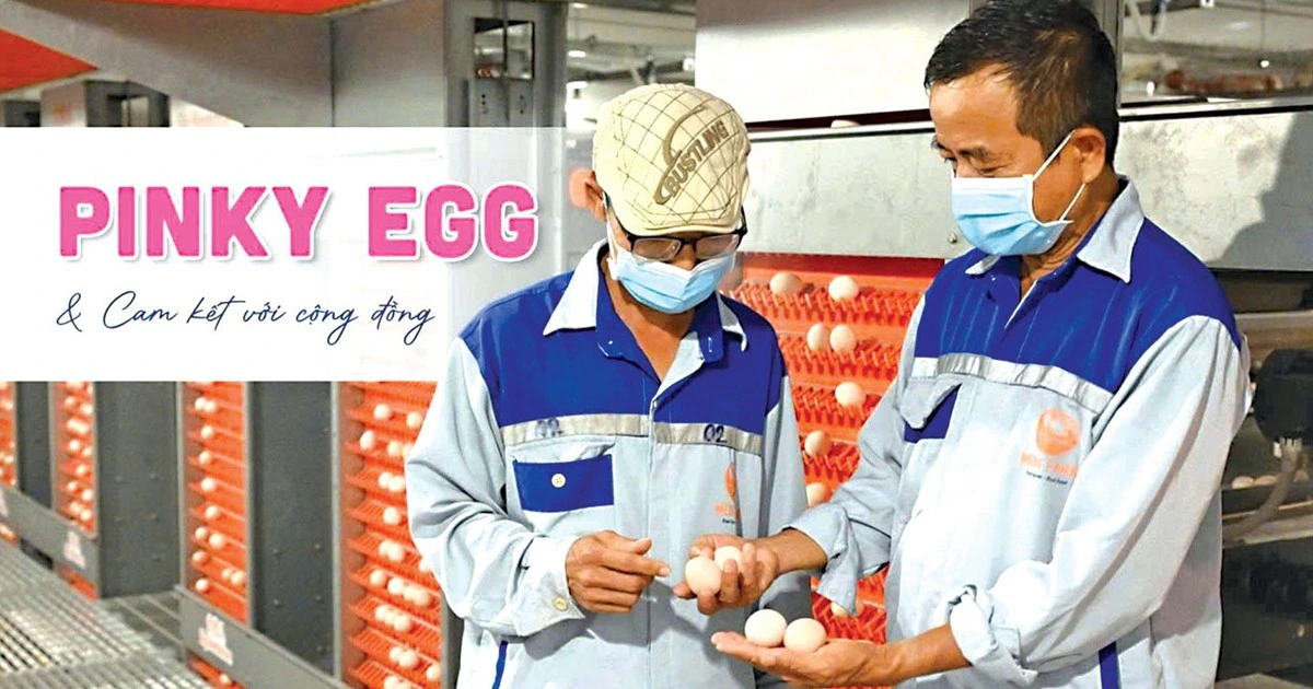 Mebi Group - Hành trình từ chuẩn mực đến hệ sinh thái nông nghiệp bền vững