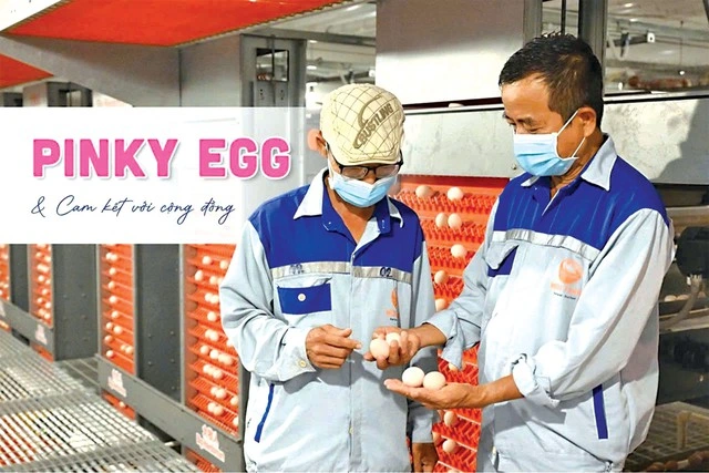 Mebi Group - Hành trình từ chuẩn mực đến hệ sinh thái nông nghiệp bền vững - Ảnh 1