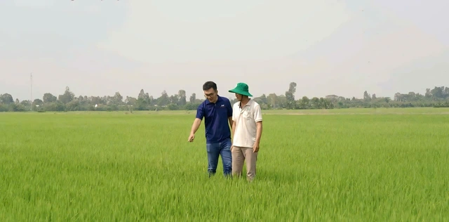 Phân bón NPK Việt Nhật, đâu phải chỉ riêng cho lúa - Ảnh 3