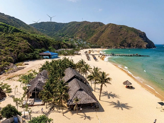 Khát vọng Gia Lai: Khi rừng và biển cùng cất cánh - Ảnh 4