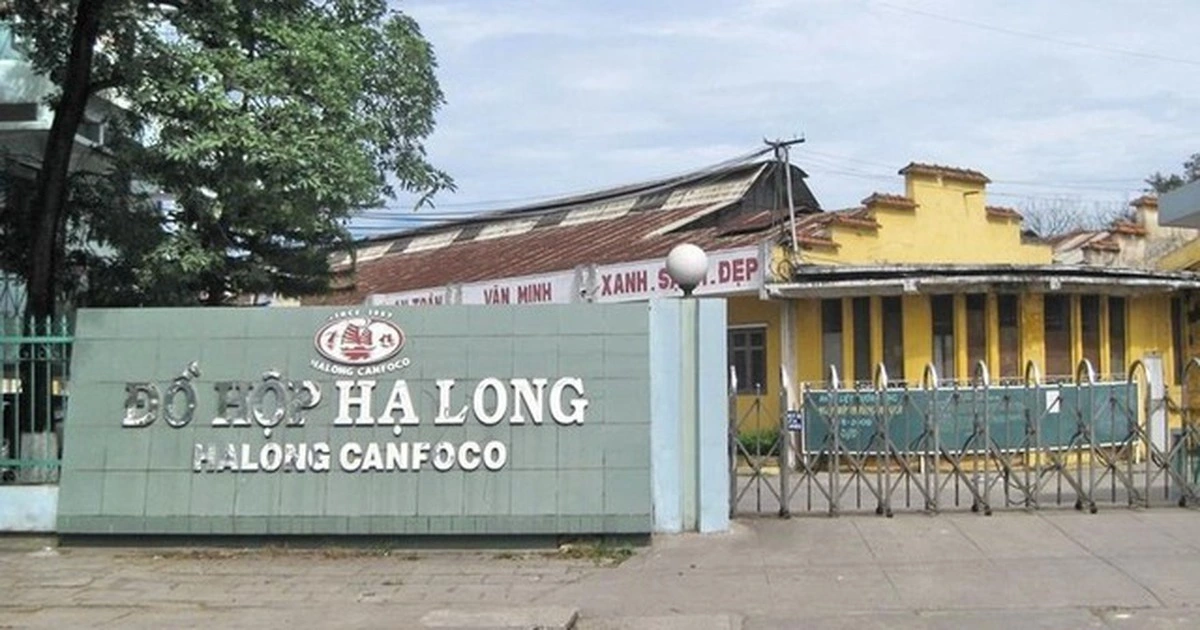 Cổ phiếu của Công ty Đồ hộp Hạ Long diễn biến ra sao?