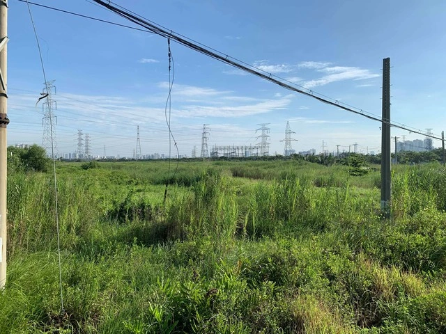 7 hành vi vi phạm đất đai có thể bị khởi tố, người dân cần nắm rõ - Ảnh 2