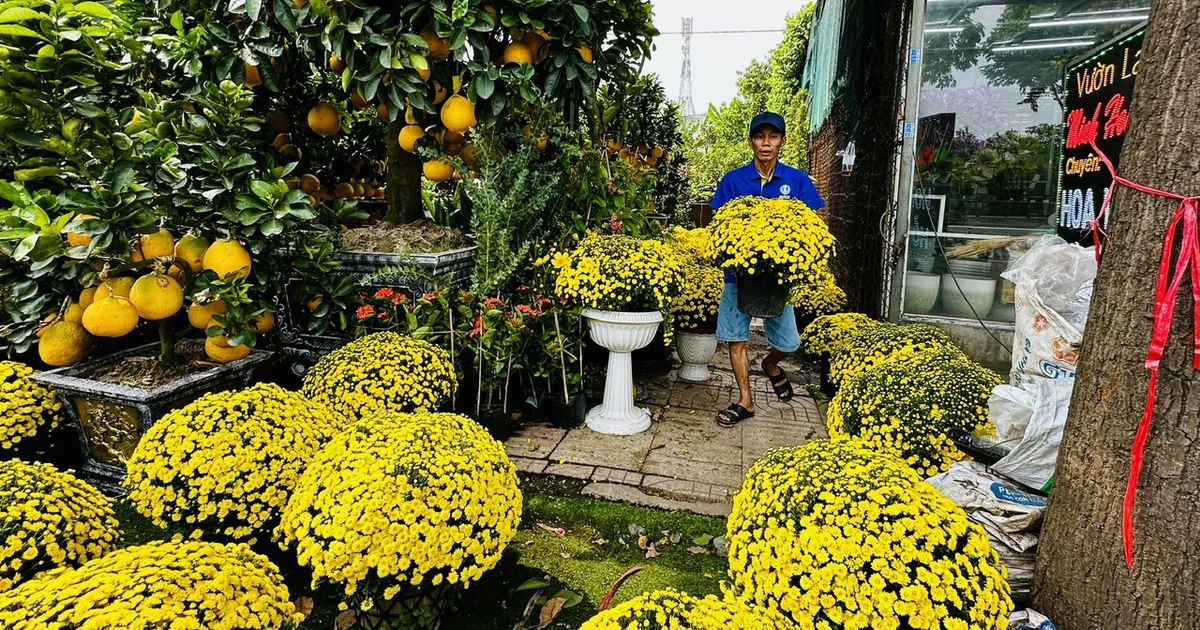 Chuyên gia thời tiết khuyến cáo đặc biệt với nhà vườn hoa tết