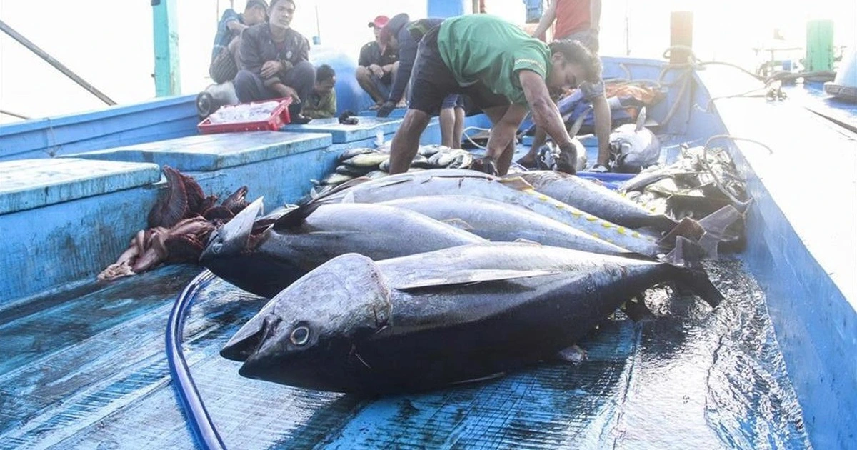 Thủy sản xuất khẩu lại vướng