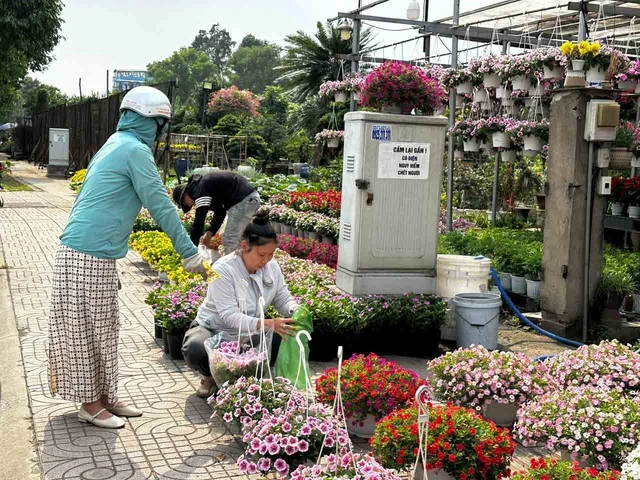 Nhà vườn hoa kiểng phập phồng vì thời tiết - Ảnh 3