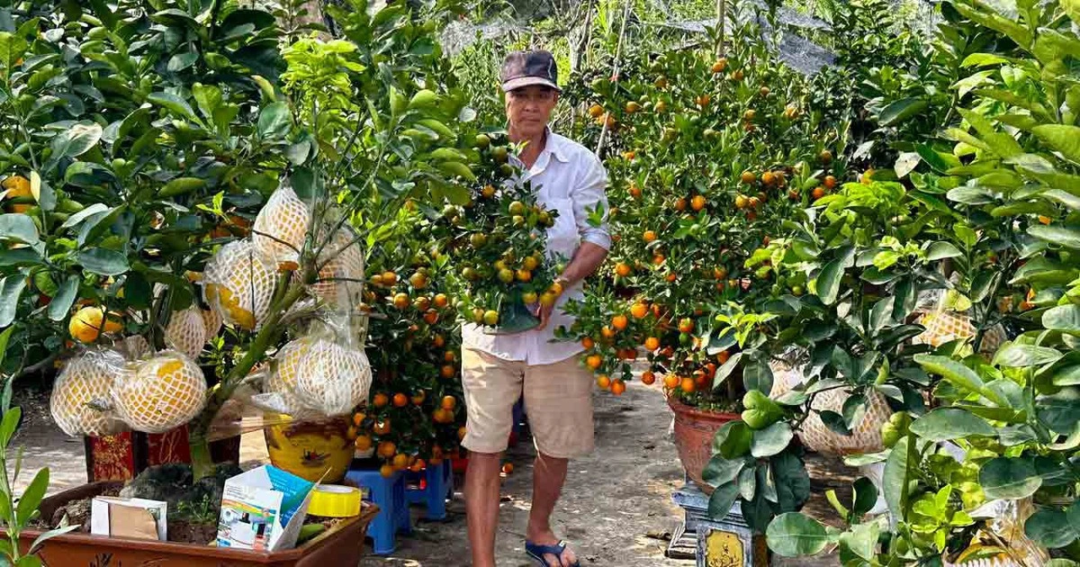 Nhà vườn hoa kiểng phập phồng vì thời tiết