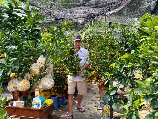 Nhà vườn hoa kiểng phập phồng vì thời tiết - Ảnh 1