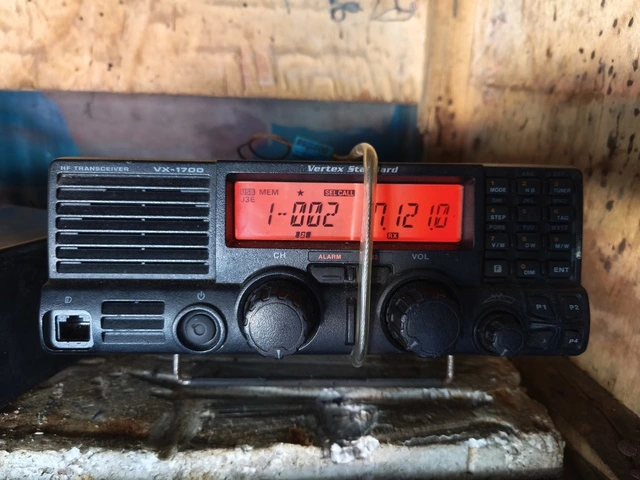 Cận Tết, vì sao hàng trăm ngư dân Đà Nẵng vẫn chần chừ ra khơi? - Ảnh 2