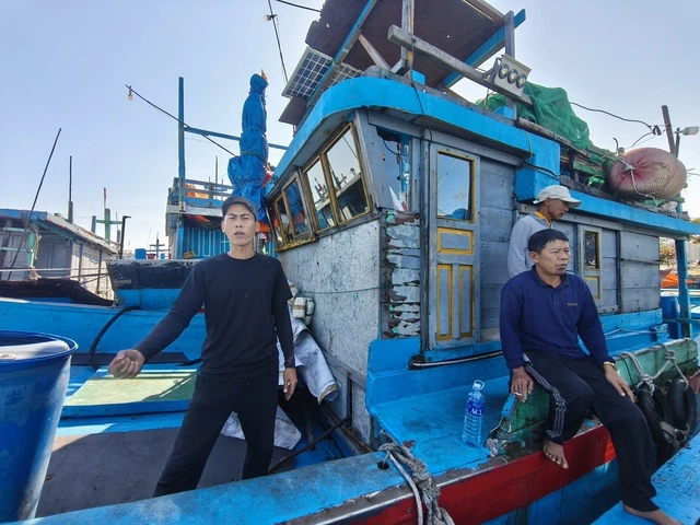 Cận Tết, vì sao hàng trăm ngư dân Đà Nẵng vẫn chần chừ ra khơi? - Ảnh 3