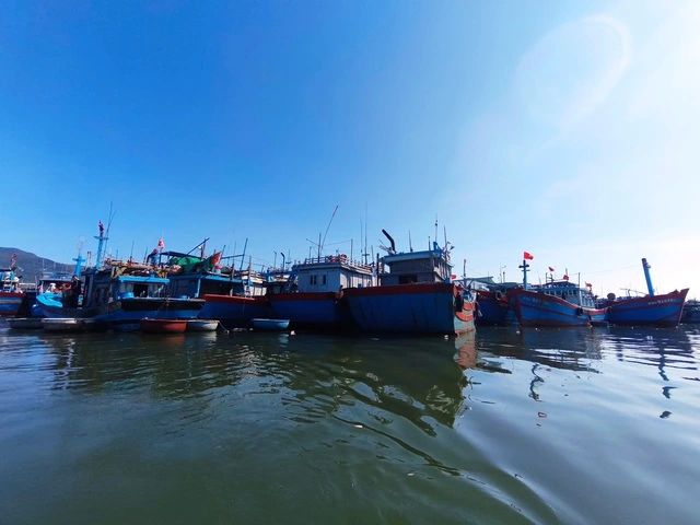 Cận Tết, vì sao hàng trăm ngư dân Đà Nẵng vẫn chần chừ ra khơi? - Ảnh 4