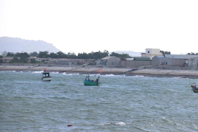 Vì sao dừng dự án chỉ dẫn địa lý tôm Bình Thuận? - Ảnh 1