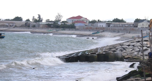 Vì sao dừng dự án chỉ dẫn địa lý tôm Bình Thuận? - Ảnh 2