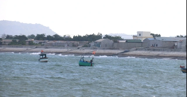 Dừng dự án 'tôm Bình Thuận' người nuôi tôm ảnh hưởng không ? - Ảnh 1