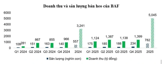 BAF Việt Nam: Cơ hội 'lội ngược dòng' sau chu kỳ biến động của ngành chăn nuôi - Ảnh 1