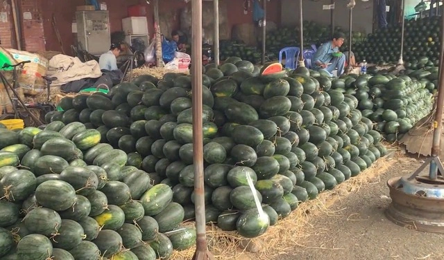 Chợ tết bắt đầu sôi động - Ảnh 2